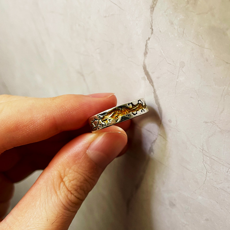 Retro Carved Crack Gold Painti - Vintage Fashion Illustration 评论和价格